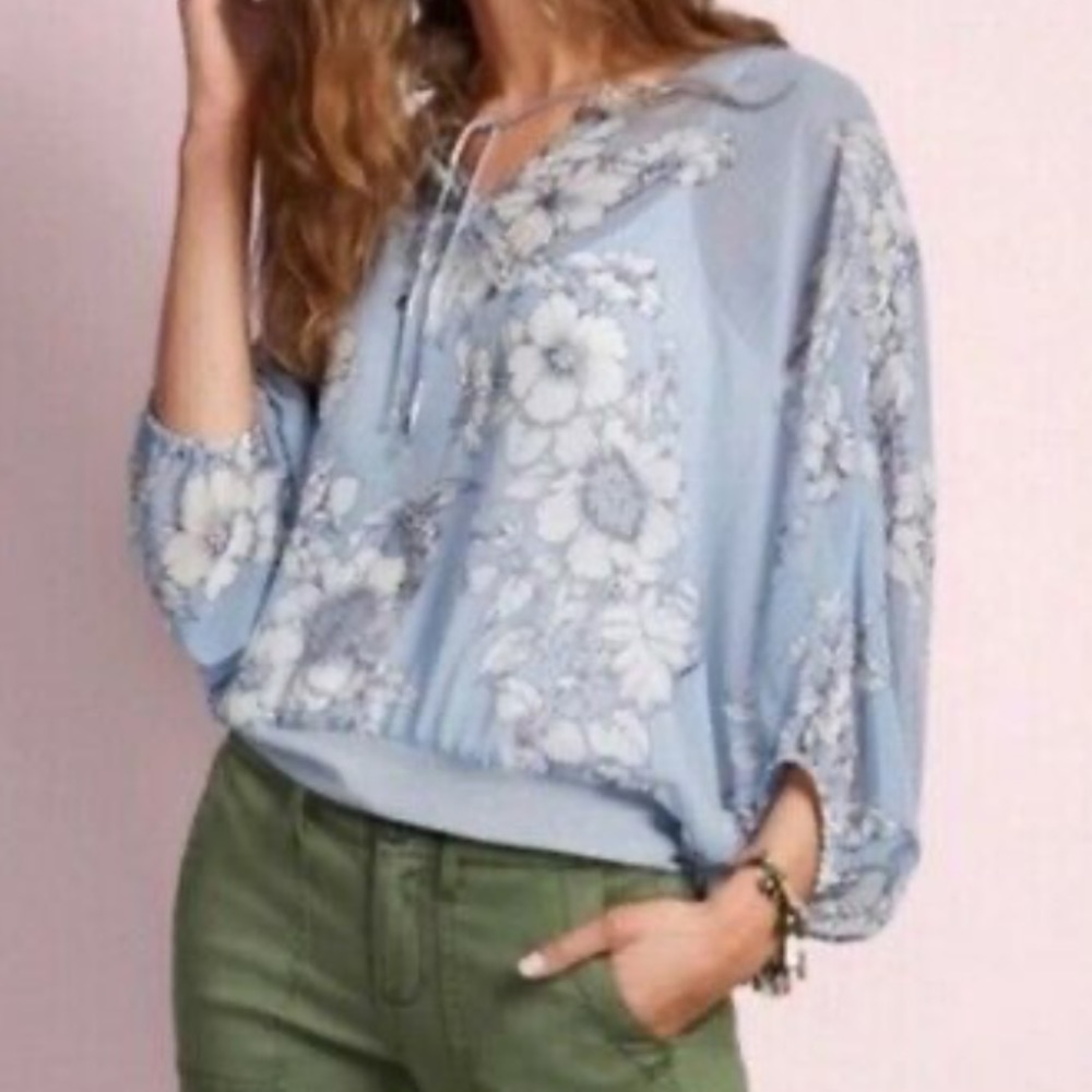 CAbi - Sirena Dolman Sleeve Floral Striped Sheer Blouse
